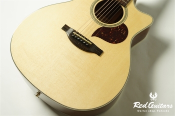 F120-GA Sitka Spruce / African Mahogany